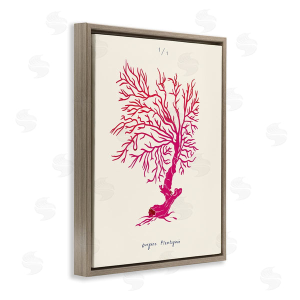 Stupell Industries Marina Astudillo | Sea Fauna Coral