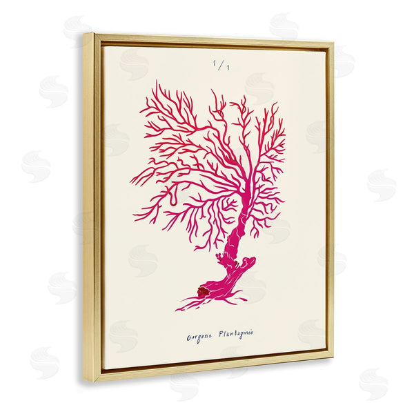 Stupell Industries Marina Astudillo | Sea Fauna Coral