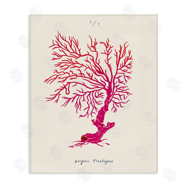stupell industries Marina Astudillo | Sea Fauna Coral