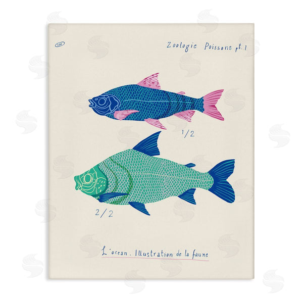 stupell industries Marina Astudillo | Sea Fauna Studies
