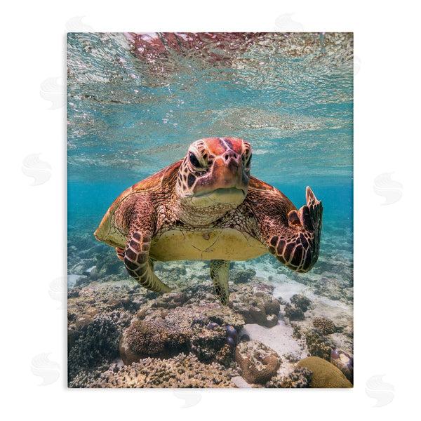 stupell industries Mark Fitzpatrick | Angry Turtle Middle Finger Wall Art