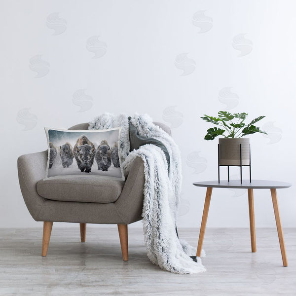 Stupell Industries Mark Kelso | Indomitable Bison In Snow