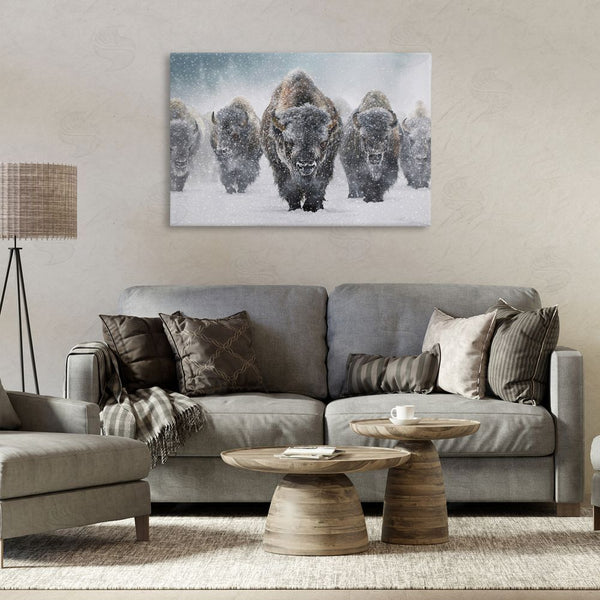 Stupell Industries Mark Kelso | Indomitable Bison In Snow Wall Art