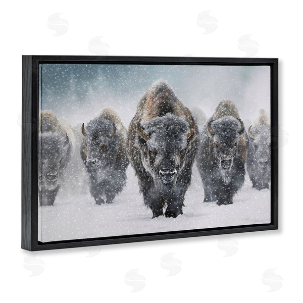 Stupell Industries Mark Kelso | Indomitable Bison In Snow Wall Art