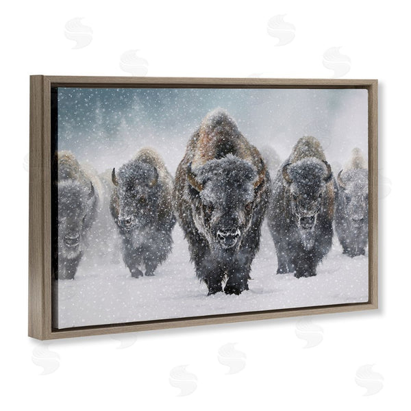 Stupell Industries Mark Kelso | Indomitable Bison In Snow Wall Art