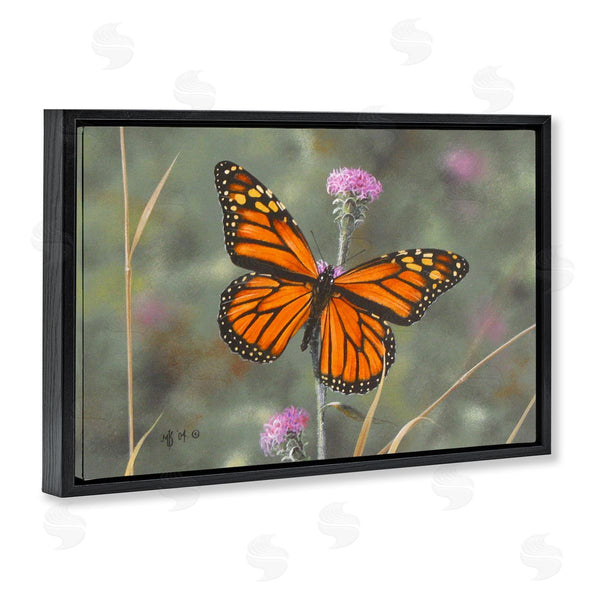 Stupell Industries Mark Kelso | Summer Visitor Butterfly Wall Art