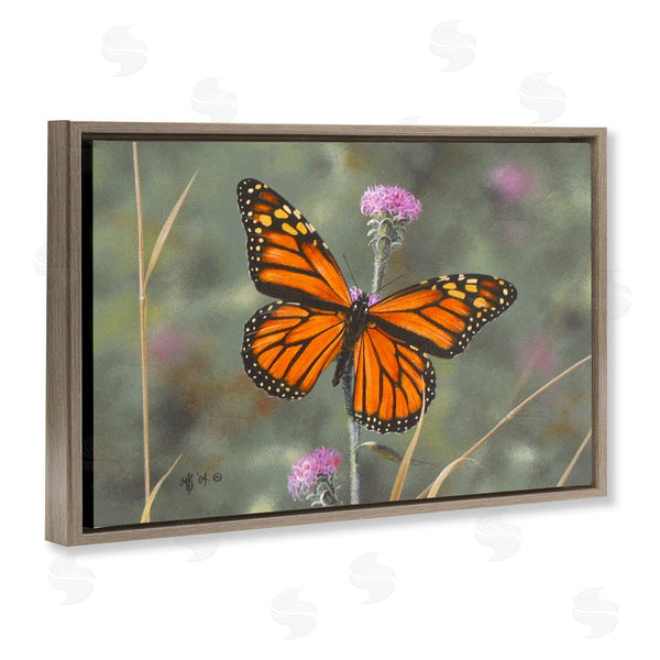 Stupell Industries Mark Kelso | Summer Visitor Butterfly Wall Art