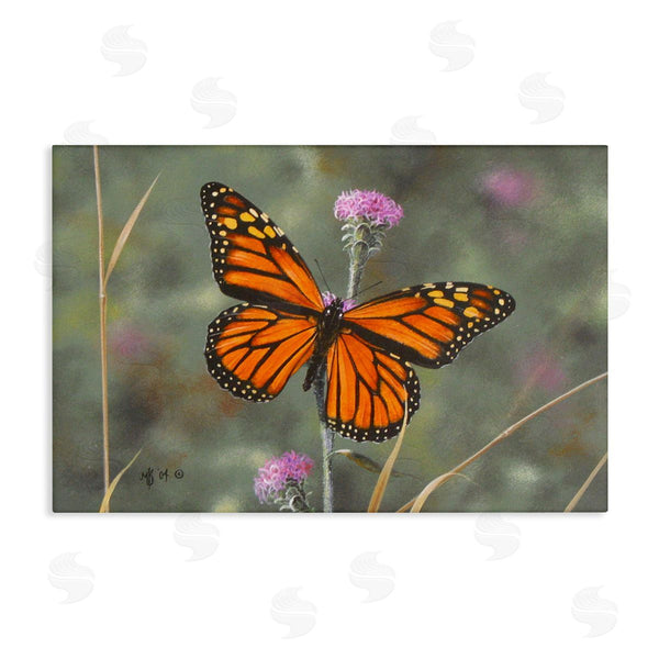 stupell industries Mark Kelso | Summer Visitor Butterfly Wall Art