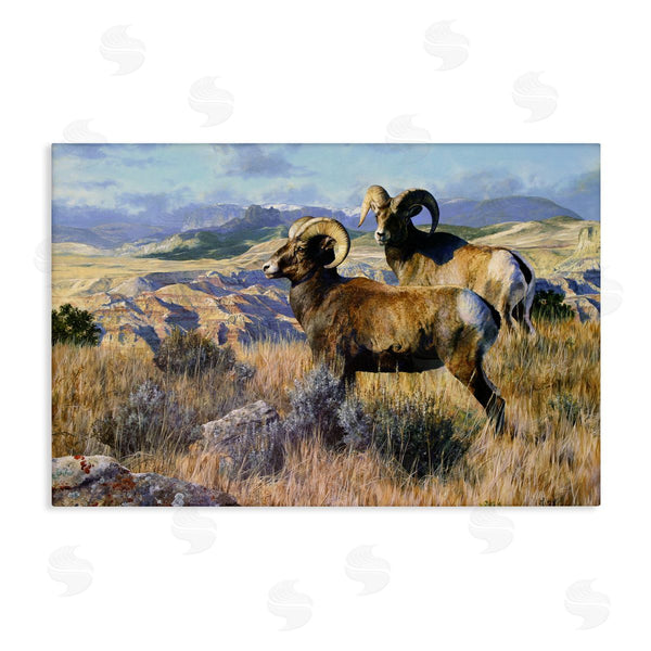 stupell industries Mark Kelso | Wild Rams Torrey Canyon