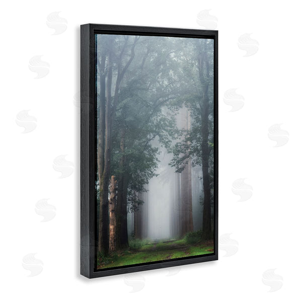 Stupell Industries Martin Podt | Calm Forest Clearing
