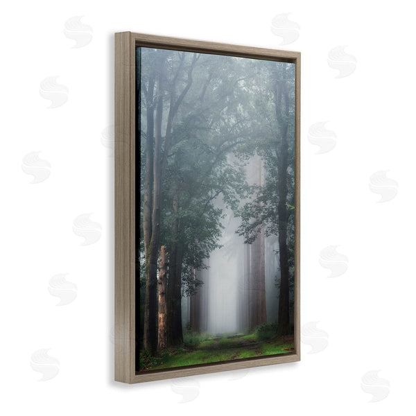 Stupell Industries Martin Podt | Calm Forest Clearing