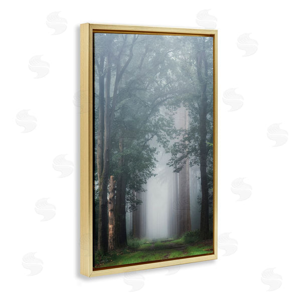 Stupell Industries Martin Podt | Calm Forest Clearing