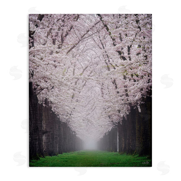 stupell industries Martin Podt | Cherry Blossom Grove Wall Art