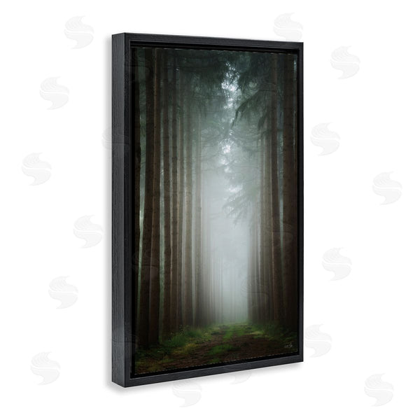 Stupell Industries Martin Podt | Moonlight Through Dark Forest