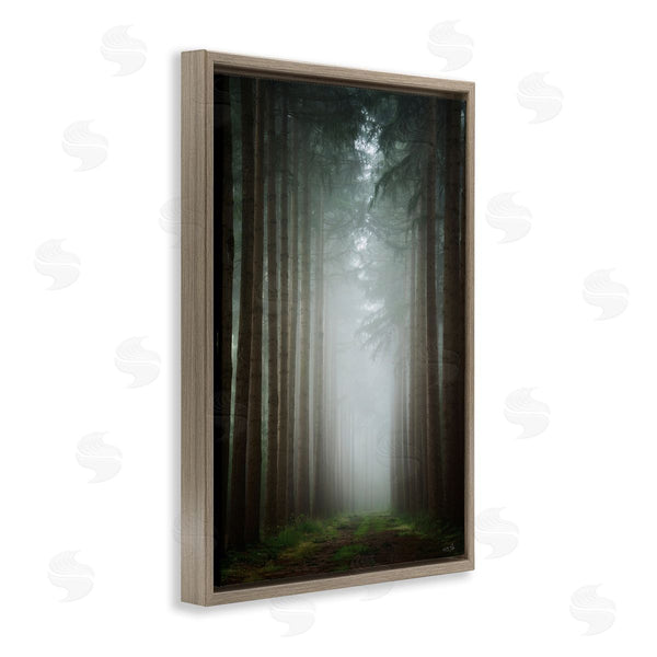 Stupell Industries Martin Podt | Moonlight Through Dark Forest