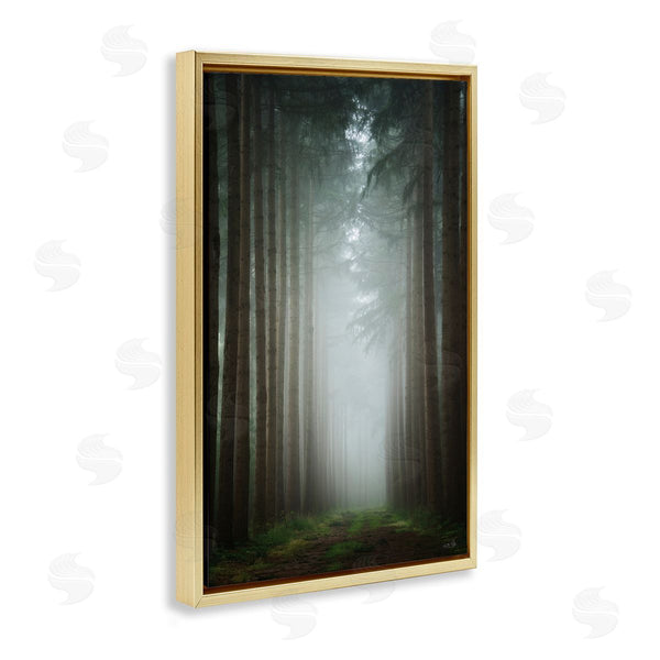 Stupell Industries Martin Podt | Moonlight Through Dark Forest