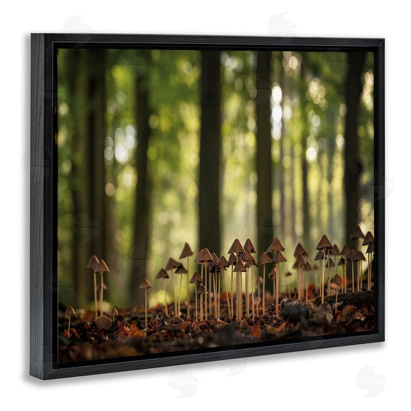 Stupell Industries Martin Podt | Mushroom Sprouts In Forest