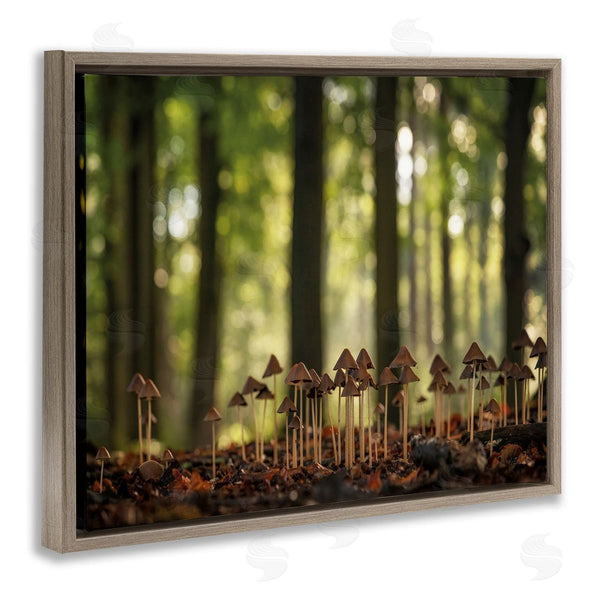 Stupell Industries Martin Podt | Mushroom Sprouts In Forest