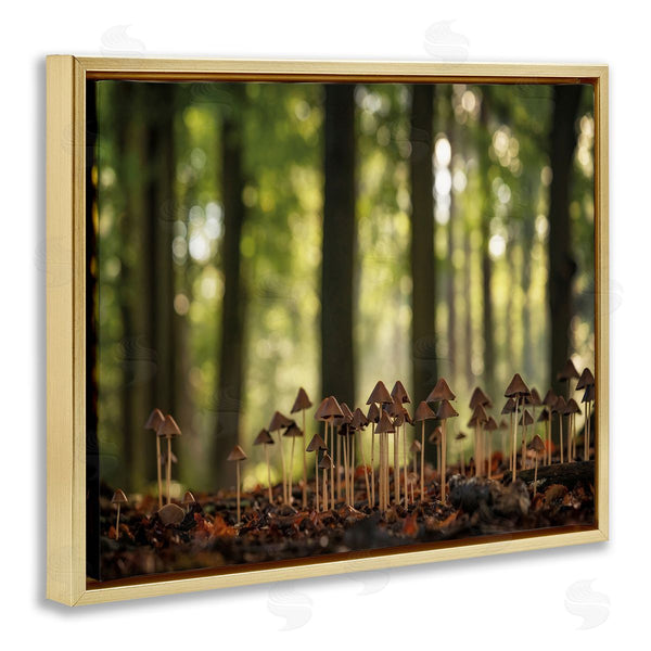 Stupell Industries Martin Podt | Mushroom Sprouts In Forest