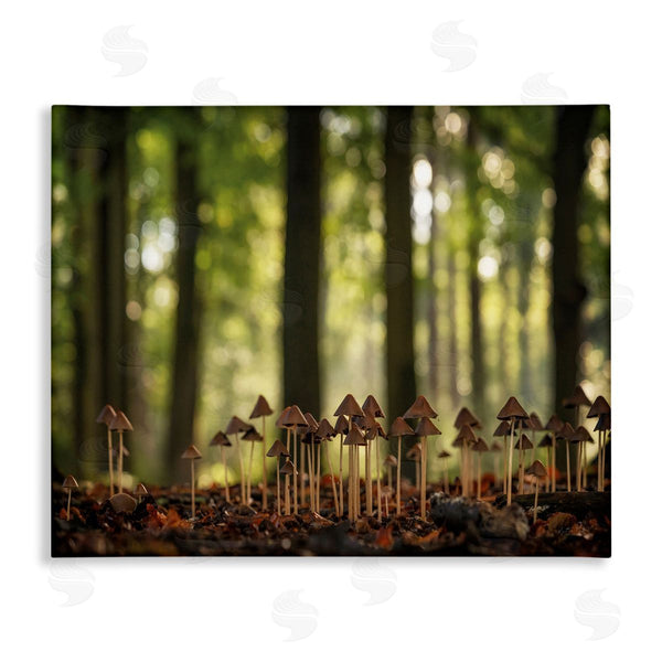 stupell industries Martin Podt | Mushroom Sprouts in Forest