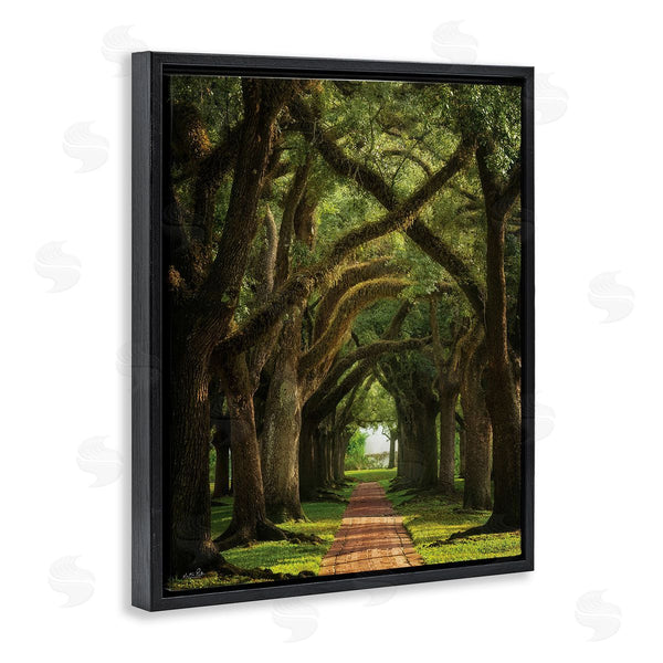 Stupell Industries Martin Podt | Shadowed Tree Grove Wall Art