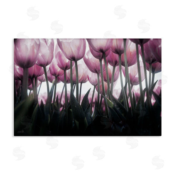 stupell industries Martin Podt | Uplifting Purple Tulip Field Wall Art