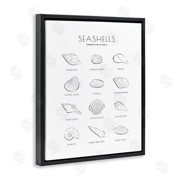 Stupell Industries Martina Pavlova | Seashell Guide For Common Shells Minimal Nautical Chart Wall Art