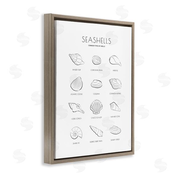 Stupell Industries Martina Pavlova | Seashell Guide For Common Shells Minimal Nautical Chart Wall Art