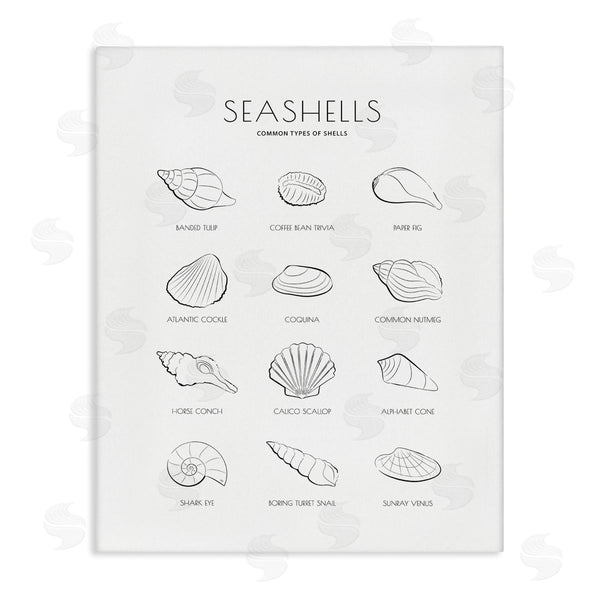 stupell industries Martina Pavlova | Seashell Guide for Common Shells Minimal Nautical Chart Wall Art