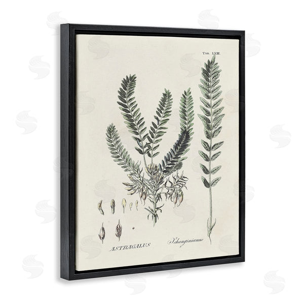 Stupell Industries Martini | Forest Leaves Diagram Wall Art