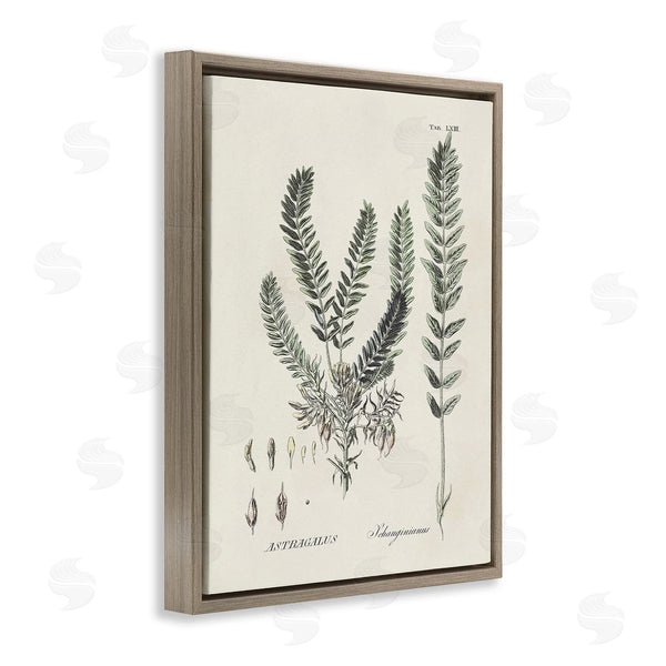 Stupell Industries Martini | Forest Leaves Diagram Wall Art