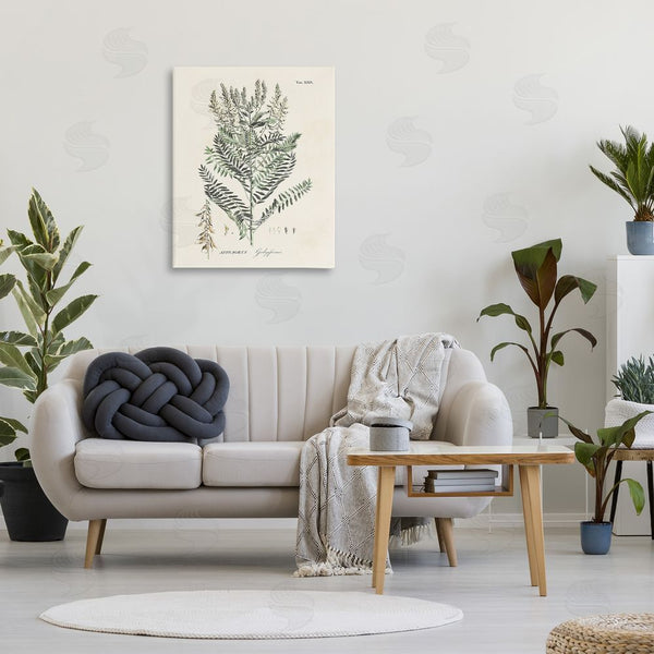 Stupell Industries Martini | Forest Plant Study Wall Art