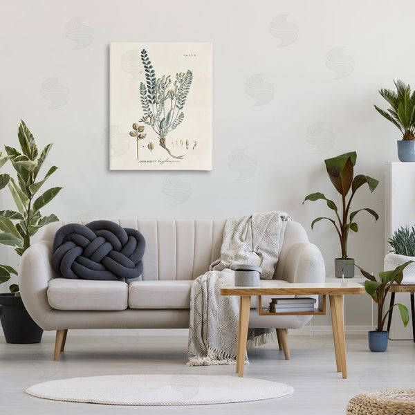 Stupell Industries Martini | Nature Leaves & Seeds Wall Art
