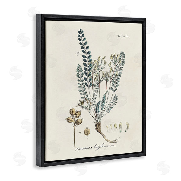 Stupell Industries Martini | Nature Leaves & Seeds Wall Art