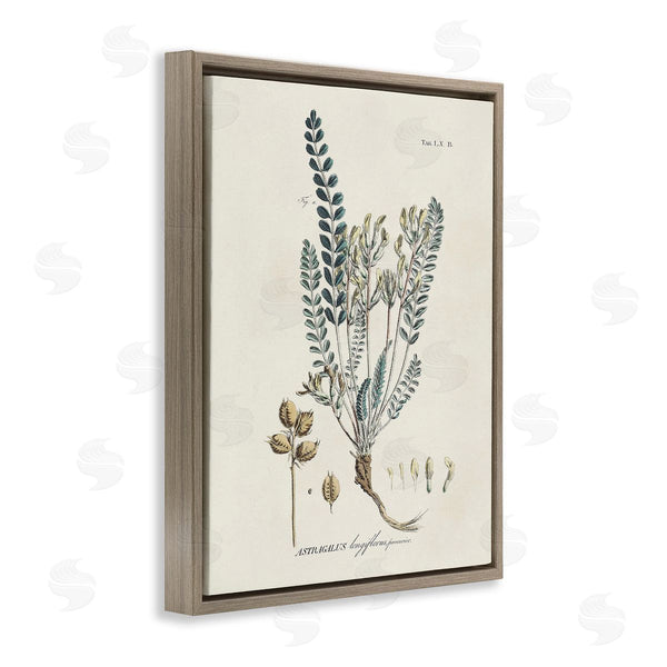 Stupell Industries Martini | Nature Leaves & Seeds Wall Art