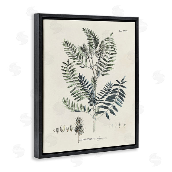 Stupell Industries Martini | Vintage Leaf Diagram Wall Art