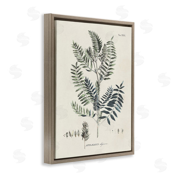 Stupell Industries Martini | Vintage Leaf Diagram Wall Art