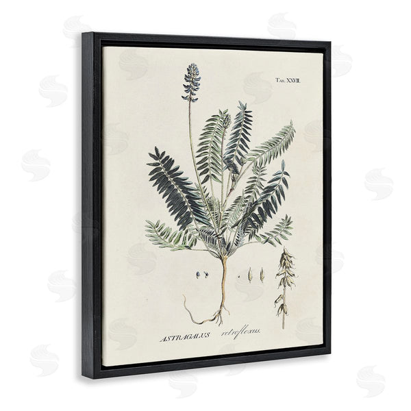 Stupell Industries Martini | Vintage Nature Diagram Wall Art