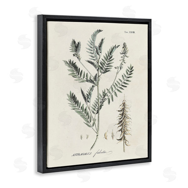 Stupell Industries Martini | Woodland Leaf Study Wall Art