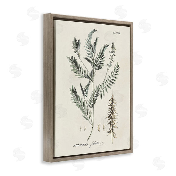 Stupell Industries Martini | Woodland Leaf Study Wall Art