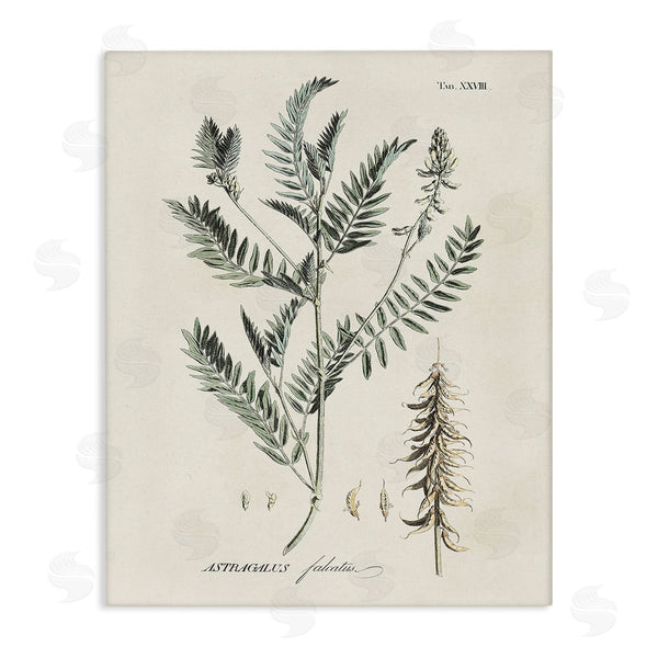 stupell industries Martini | Woodland Leaf Study Wall Art