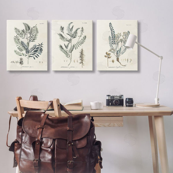 Stupell Industries Martini | Woodland Plant Studies Wall Art