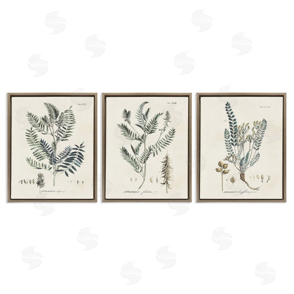 Stupell Industries Martini | Woodland Plant Studies Wall Art