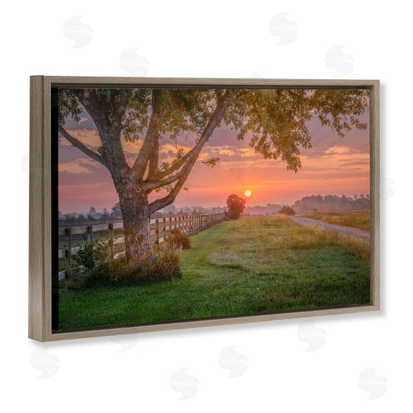 Stupell Industries Marty Hulsebos | Bold Sunrise In Countryside Wall Art