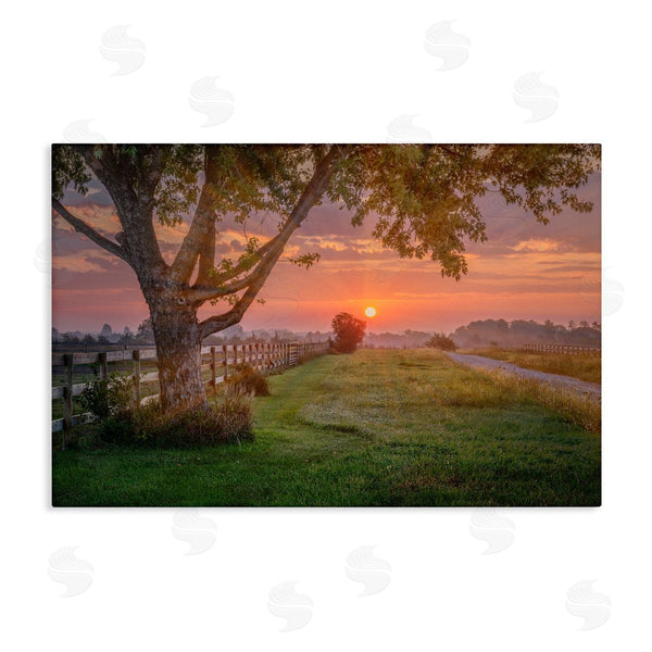 stupell industries Marty Hulsebos | Bold Sunrise in Countryside Wall Art
