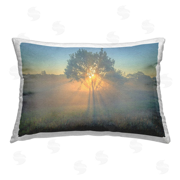 Stupell Industries Marty Hulsebos | Bright Sunlit Tree