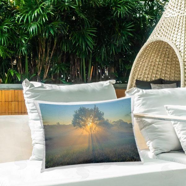 Stupell Industries Marty Hulsebos | Bright Sunlit Tree