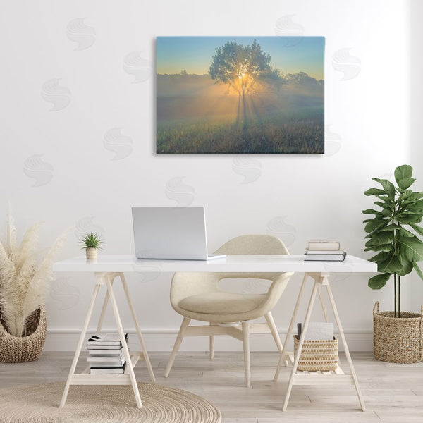 Stupell Industries Marty Hulsebos | Bright Sunlit Tree Wall Art