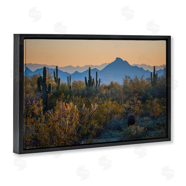 Stupell Industries Marty Hulsebos | Contrasting Desertscape Scene Wall Art