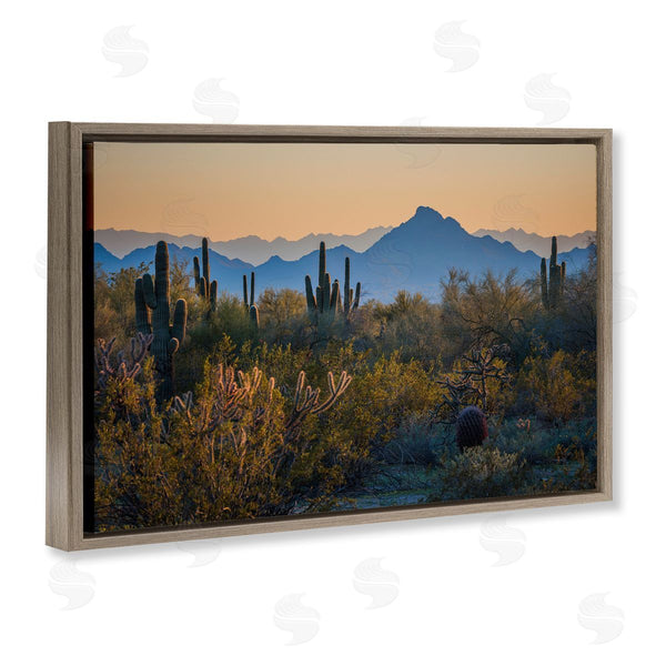 Stupell Industries Marty Hulsebos | Contrasting Desertscape Scene Wall Art